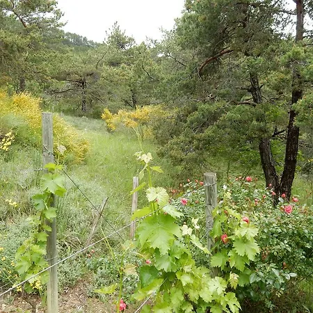 Cosy With Garden Holiday home